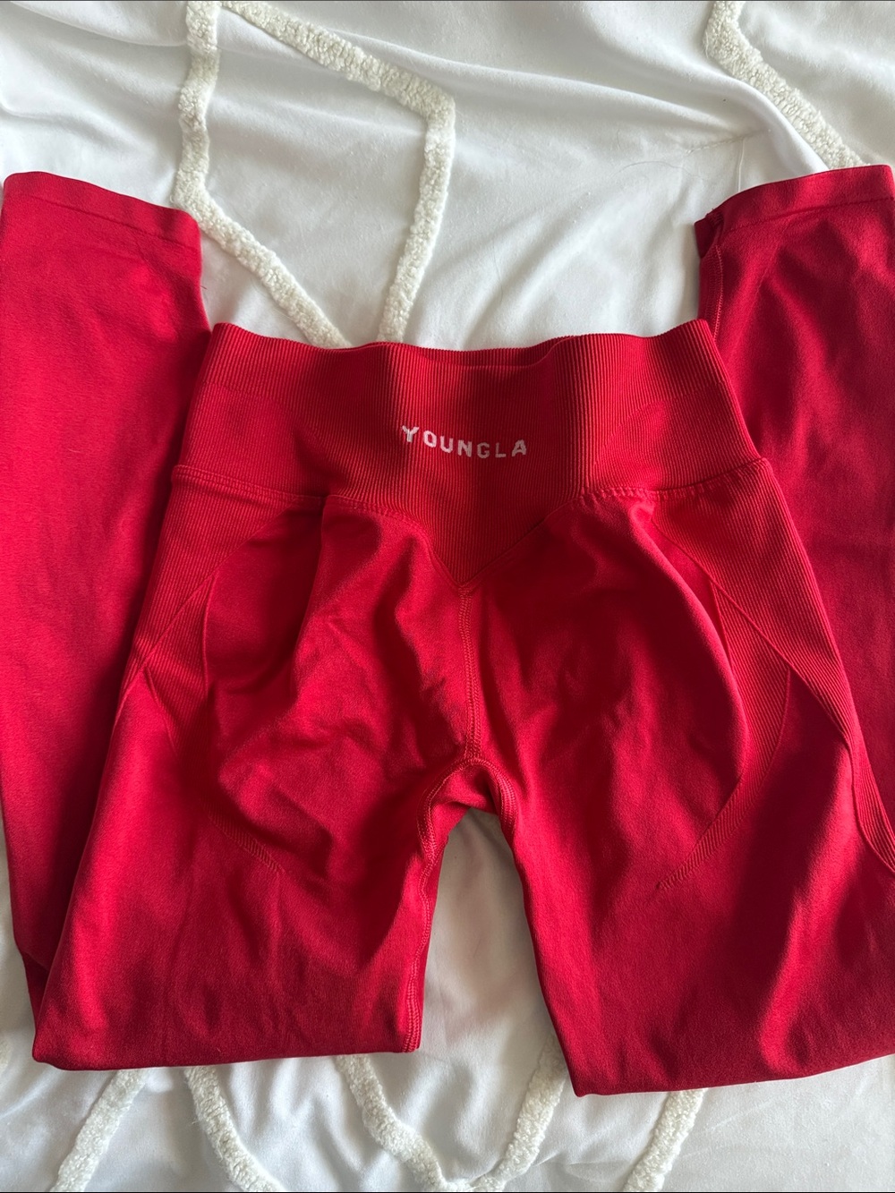YoungLA curve hourglass Leggings